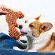 Набір мотузкових іграшок для собак Orange 6шт.