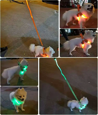 Светодиодная шлейка для собак, заряжаемая от USB Derby