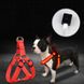 Светодиодная шлейка для собак, заряжаемая от USB, Красный, XS